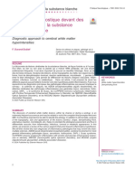 Démarche Diagnostique Devant Des Hypersignaux de La Substance Blanche Cérébrale