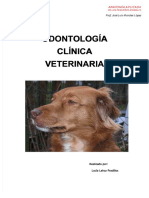 Odontologia Veterinaria