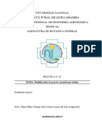 ESQUEMA DE INFORME MOD. DE PARED Y MEMB.-botanica