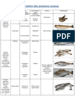 Identification Des Poissons Osseux