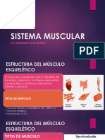 4 Sistema Muscular