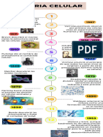 Infografía de Línea de Tiempo Timeline Progreso Con Números Multicolor Moderno Creativo