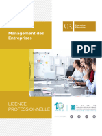 Management Des Entreprises: Licence Professionnelle