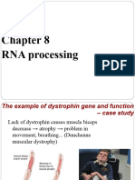 GENETICS Chapter 8 - From Gene To protein-RNA Processing