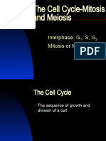 AP Cell Cycle-Mitosis and Meiosis