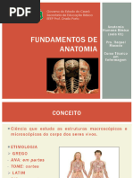 Fundamentos de Anatomia Básica