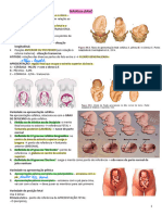 BAC 3 - Estática Fetal, Mecanismo Do Parto, Fases Clínicas Do Parto, Assistência Ao Parto, Partograma e Cardiotografia