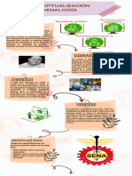 Infografía Linea de Tiempo Ilustrada Papel Con Fotografías