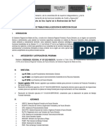 Plan de Trabajo para La Ejecucion de Inspeccion Ocular 2024