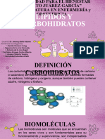 Lípidos y Carbohidratos1.3!1!095122