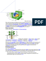 Plant Cells 3