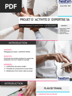 PROJET D ACTIVITE D EXPERTISE S6 - Présentation