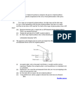 Section C Questions Photosynthesis