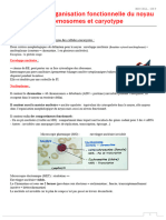 Chromosomes Et Caryotype