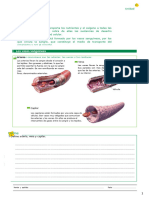 Ficha Biología Trimestre 1