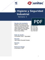 Copia de Copia de Avance I - Manual de Higiene y Seguridad Industrial