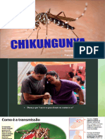 Apresentação Chikungunya