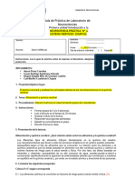 Guía Practica 4 Neurotransmisores 2023