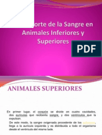 Animaless Superiores e Inferiores