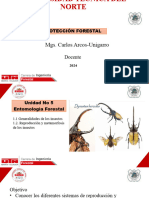 1.3 Ciclo Biológico de Los Insectos