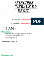 Les Principes Generaux Du Droit