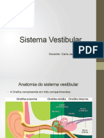 Sistema Vestibular