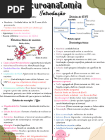 Neuro Anatomia