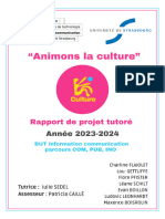 Rapport Animation Culturelle