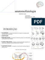 Aula 1 - Introdução A Neuro-1