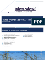 Curso Operador de Usinas Hidrelétricas - Módulo 12 - Submódulo 09 - Subestação Elevadora - Elaboração e Execução de Manobras