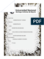 Ensayo Evol. Sistema Financiero Nacional