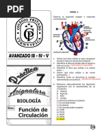 Circulación