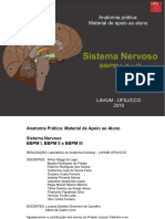 Apoio Sistema Nervoso - BBPM 1,2 e 3