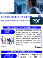 Seguridad e Higiene Ley