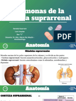 Hormonas de La Corteza Suprarrenal