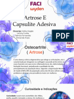 Grupo 3 (Artrose e Capsulite Adesiva) - 1