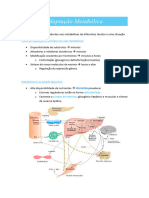 4bi - Adaptação Metabólica