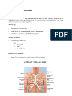 Thorax Lung