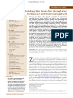 Enriching Rice Grain Zinc Through Zinc Fertilization and Water Management