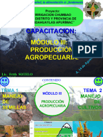 Produccion Agropecuaria