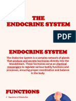 Endocrine System