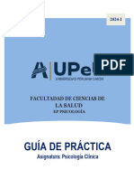 Guía de Psicologia Clinica 2024-I OFICIAL V04