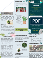 Plantas Suculentas