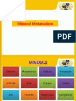 1 Macrominerals