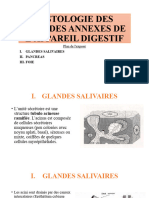 Histologie Des Glandes Annexes Du Tube Digestif