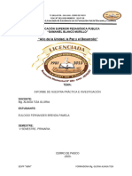 Informe de Práctica e Investigación V