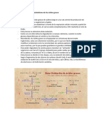 Beta Oxidación