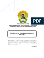 Diplomado en Seguridad Ciudadana Policial - Sargentos