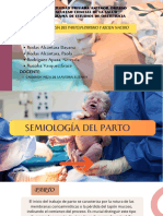 Semiología Del Parto, Puerperio y Recien Nacido Semio