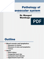 Pathology of Cardiovascular System: Dr. Wangari Wambugu